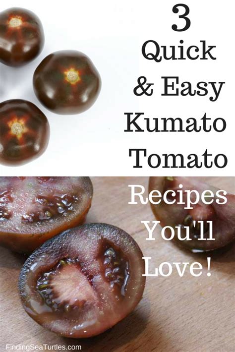 3 Quick & Easy Kumato Tomato Recipes You'll Love | Kumato, Kumato recipes, Tomato recipes