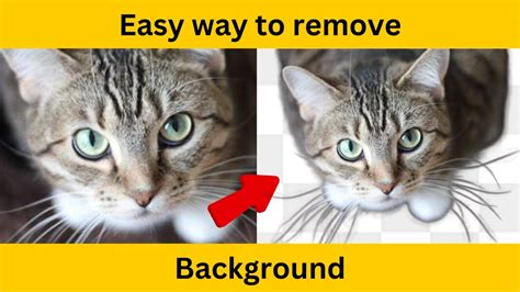 Remove Backgrounds with Adobe Express - YouTube