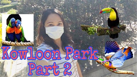 Amazing Birds🦜🦜@Kowloon Park Part2 - YouTube