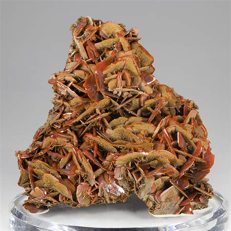 Wulfenite - Minerals For Sale - #1511003