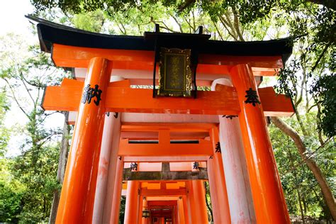 Gate of Shinto Shrine · Free Stock Photo