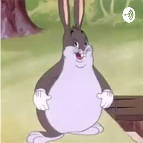 Big Chungus Is Among Us Funny Big Chungus Meme Sticker Spiral | Porn Sex Picture