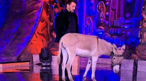 Bigg Boss 18: PETA asks host Salman Khan to ‘avoid using animals as ...