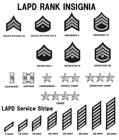 Police Ranks in the US (LAPD, but I assume ranks are same for NYPD) : r ...