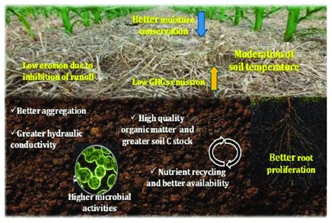 Advantages of crop residue retention for improving soil fertility. | Download Scientific Diagram