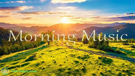 THE BEST GOOD MORNING MUSIC 528Hz - Nature Healing Society