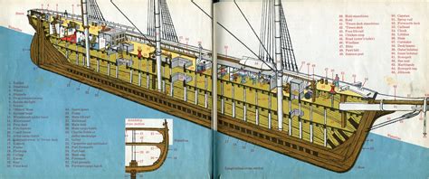 The cross-section of a ship's hull, illustrating the placement of the ...