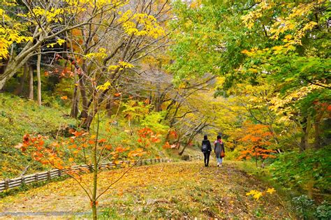 Tsukuba - The City of Science, Nature and Great Food - Japan Travel Guide MATCHA