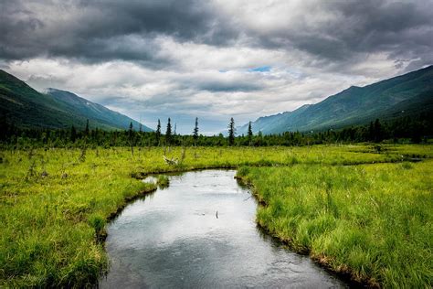 Eagle River Nature Center Photograph by Andrew Matwijec | Fine Art America