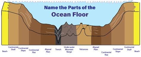 Diagram of the Ocean Floor