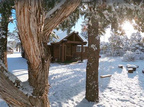 9 Beautiful Pet-Friendly Cabins in Flagstaff, Arizona - Doggy Check In