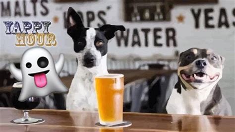 Halloween Edition Dog Friendly Happy Hour Lake Worth Oct. 25th – Salty Dog Paddle