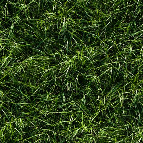 HIGH RESOLUTION TEXTURES: Seamless long green grass ground texture