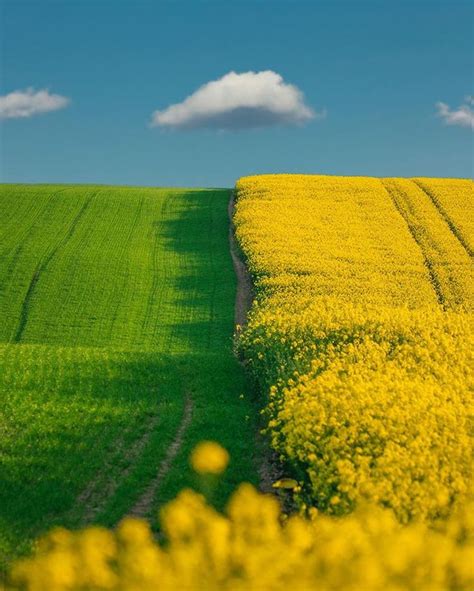 Moravian Tuscany, Czech | Nature photography, Scenery, Landscape