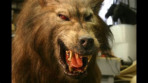 15 Pictures About werewolf movie - Pets Lovers