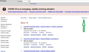 Download sequences with BATCH Entrez - geneticslab