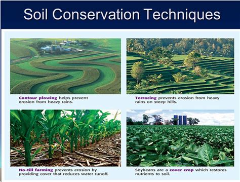 APES Chapter 10: Soil Conservation Farming Strategies Diagram | Quizlet