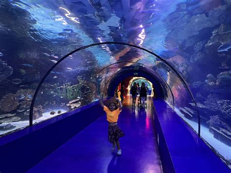 Antalya Aquarium - Olya Dubovaya