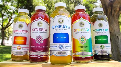 Kombucha Tea Brands
