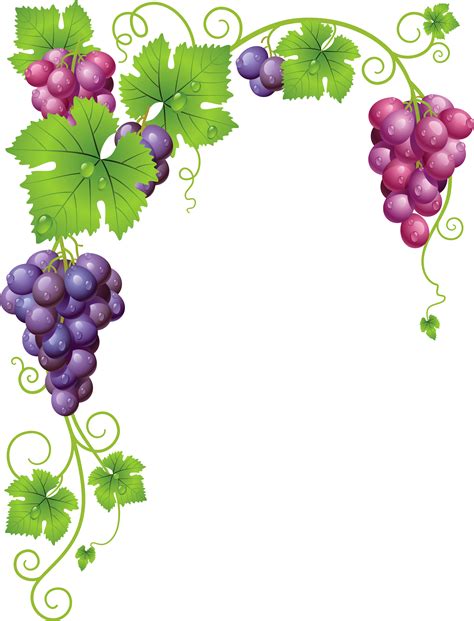 Grape Vine Clipart Png - Grape Vine Frame Transparent Png - Full Size Clipart (#172523) - PinClipart