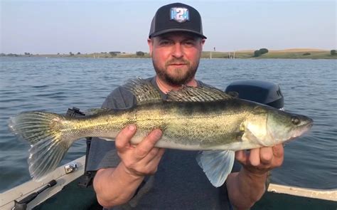 SEND Fishing Update: Zander Expand, Apparent Bluegill Boom | News Dakota