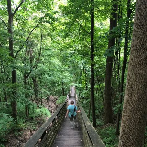 Best Hikes to Explore New River Gorge National Park - The Winding Road ...