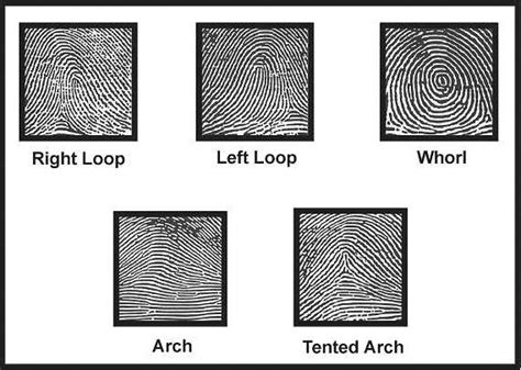 Fingerprinting - Forensics Portfolio