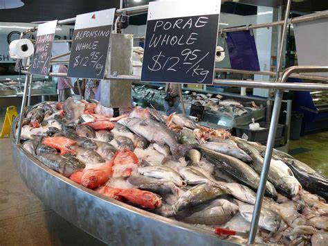 Auckland Fish Market, Auckland (2024) - Images, Timings | Holidify