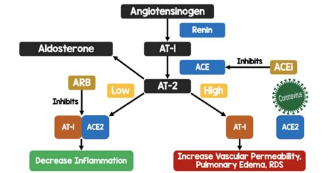 COVID-19: Clinical/Therapeutic Staging Proposal and Treatment - REBEL EM - Emergency Medicine Blog