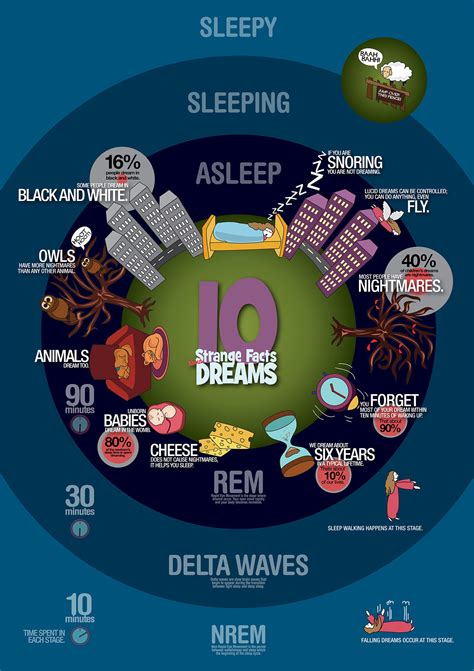 Facts About Dreams - Infographic Poster on Behance