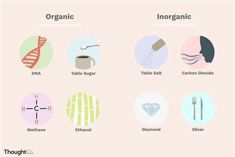 Sebatian Bukan Organik - soakploaty