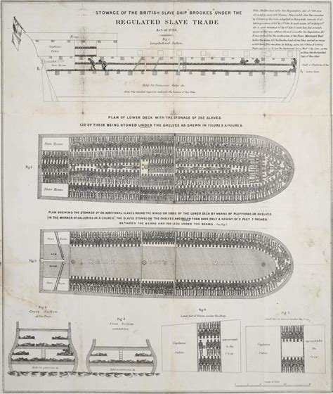 American Cockroaches, Racism, and the Ecology of the Slave Ship ...