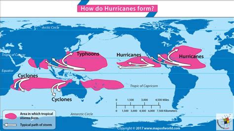 How Do Hurricanes Form? - Answers | How do hurricanes form, Hurricane, Weather science