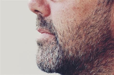 Man Beard Masculine Facial - Free photo on Pixabay