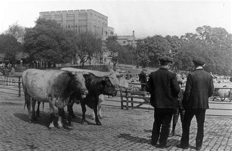 Norwich Heritage photo album changing face of old Norwich Cattlemarket