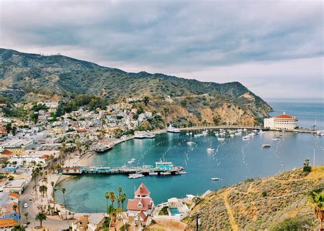 Best Things to Do on Catalina Island for Every Type of Family - MiniTime