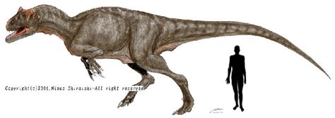 Allosaurus fragilis v Yangchuanosaurus shangyouensis - Carnivora