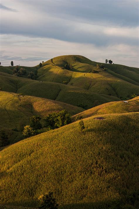 The view from the hills on Behance