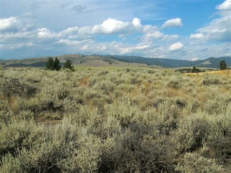 Free picture: landscape, sky, nature, dry, grass, hill, summer, cloud, desert