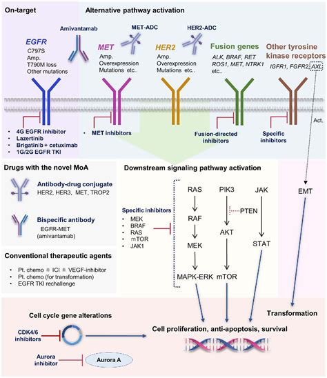 [PDF] Current treatment strategies for EGFR-mutated non-small cell lung ...