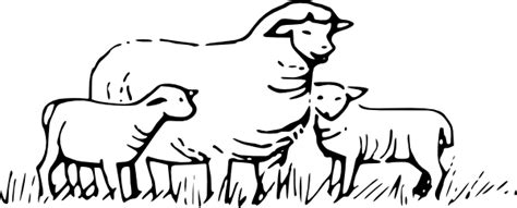 Grazing sheep clipart - Clipground