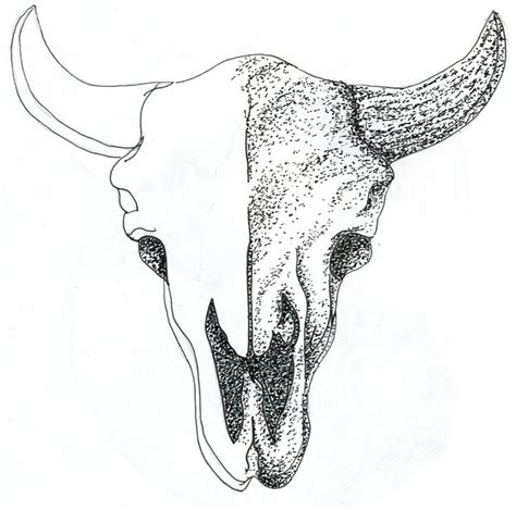 Buffalo Skulls Drawing at GetDrawings | Free download