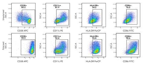 M1 Macrophage Flow Cytometry Panel: R&D Systems