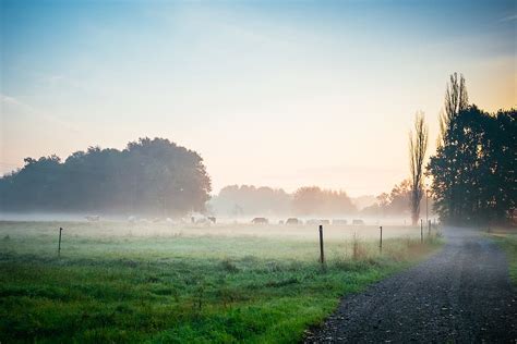 1284x2778px | free download | HD wallpaper: Photography of Green Grass ...