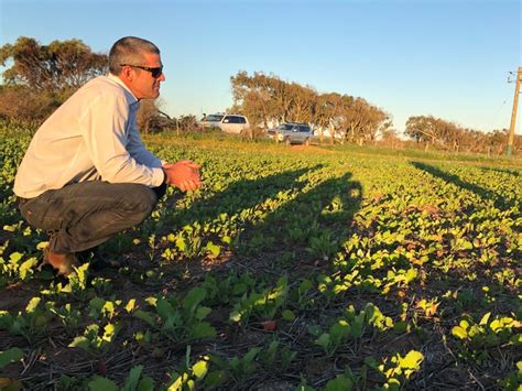 Agronomy of Farming - Short Course | Planfarm Academy