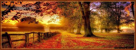 Fall - Autumn Facebook Covers, Fall - Autumn FB Covers, Fall ... | Trees | Pinterest | Facebook ...