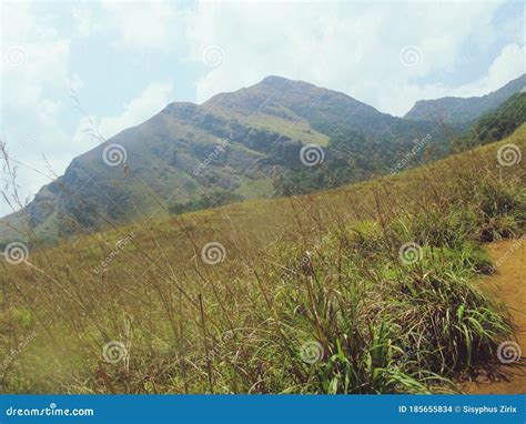 Chembra Peak Meppadi Wayanad Stock Photo - Image of chembra, grassland ...