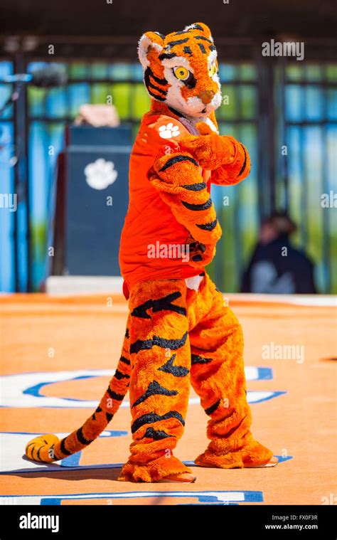 The Clemson Tiger Mascot during the Clemson Football Spring Game ...