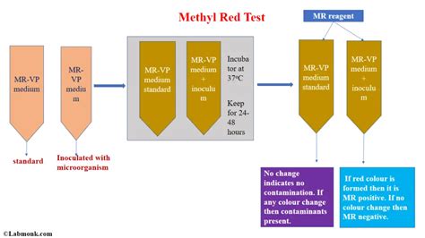 Common Biochemical Tests in Microbiology: Methyl Red Test - Labmonk