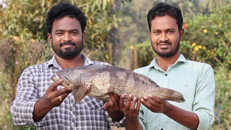 Hamour Fish Curry || Fish Curry Recipe || Ranganayakamma Kitchen - YouTube